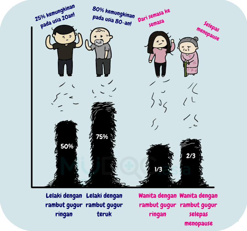 Statistik Rambut Rontok