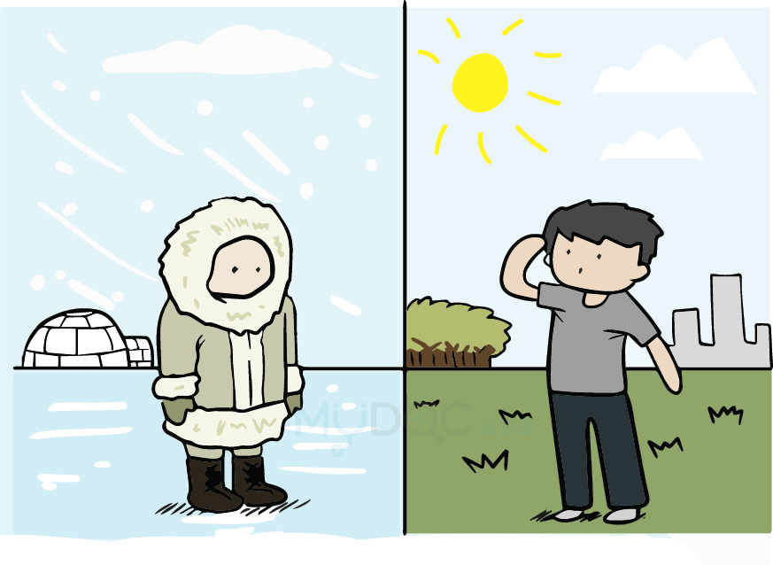 human body have the ability to adapt exercise routine