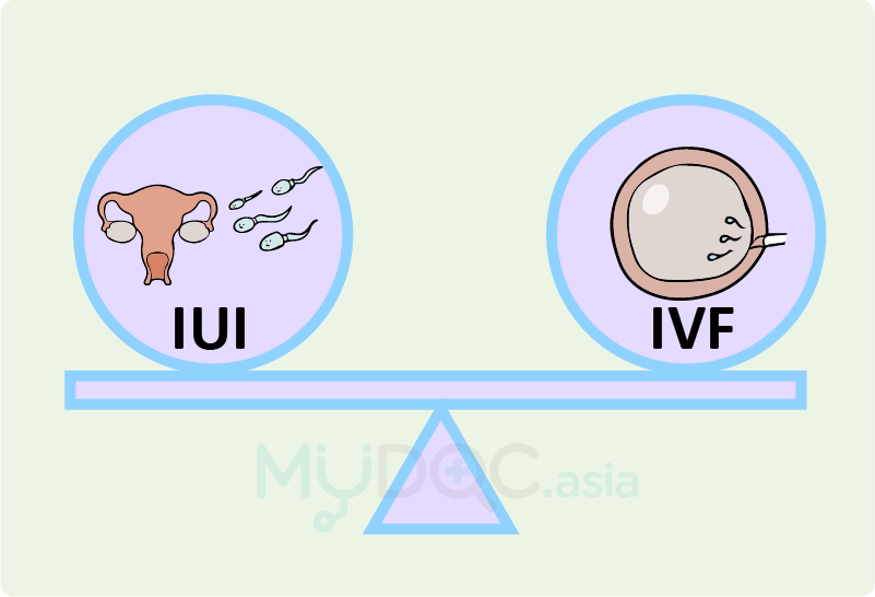 Semua Soalan Anda Mengenai IVF Dijawab oleh Doktor  Erufu 