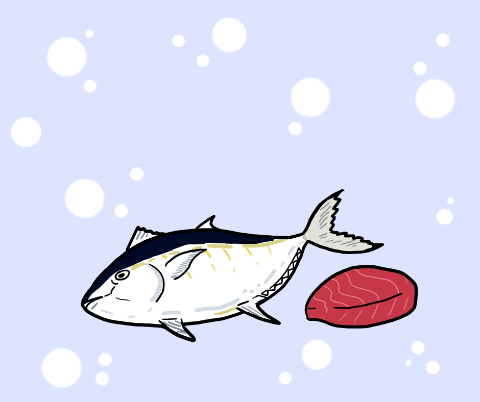 Tuna is a good source for vitamin D