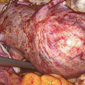 Klinik Spesialis Wanita Dr Rabin