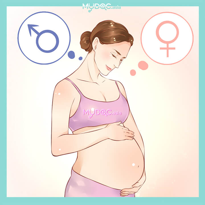 Baby Gender Determination