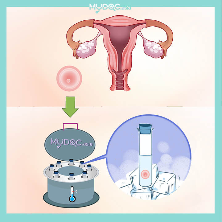 Fertility Associates (Malaysia) Reproductive Medicine / Fertility