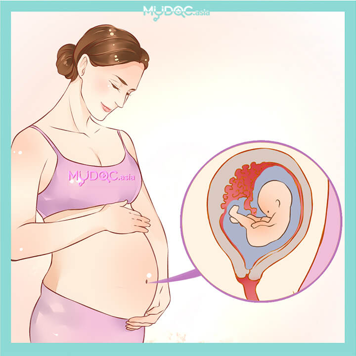 Pre-Pregnancy & 1st Trimester Pregnancy Care