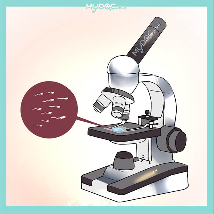 Semen Analysis
